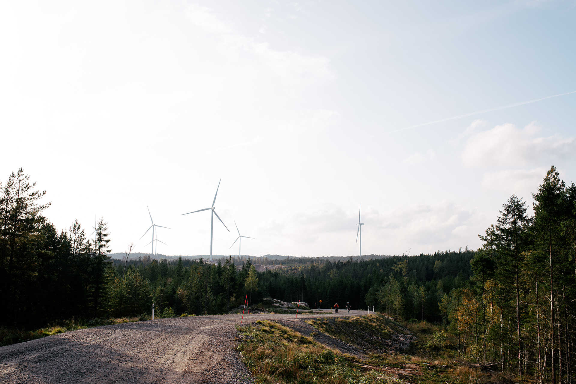 Rodene Windfarm